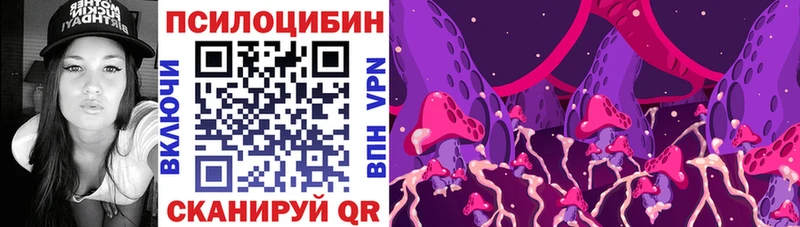 Псилоцибиновые грибы Cubensis  Купить  Ахтубинск 